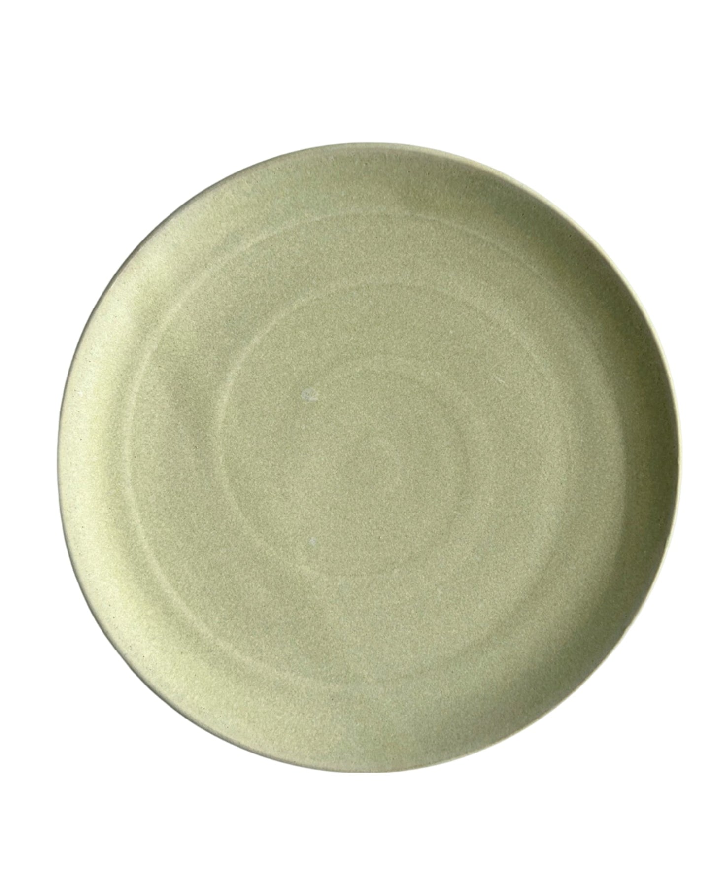 Green ceramic plate on a white background