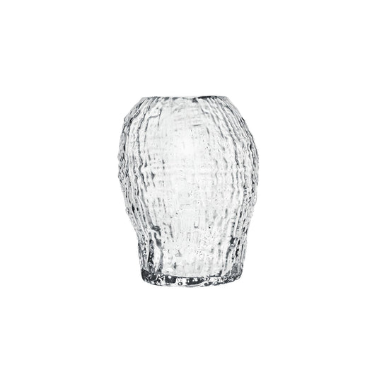 Clear glass vase with textured surface on a white background