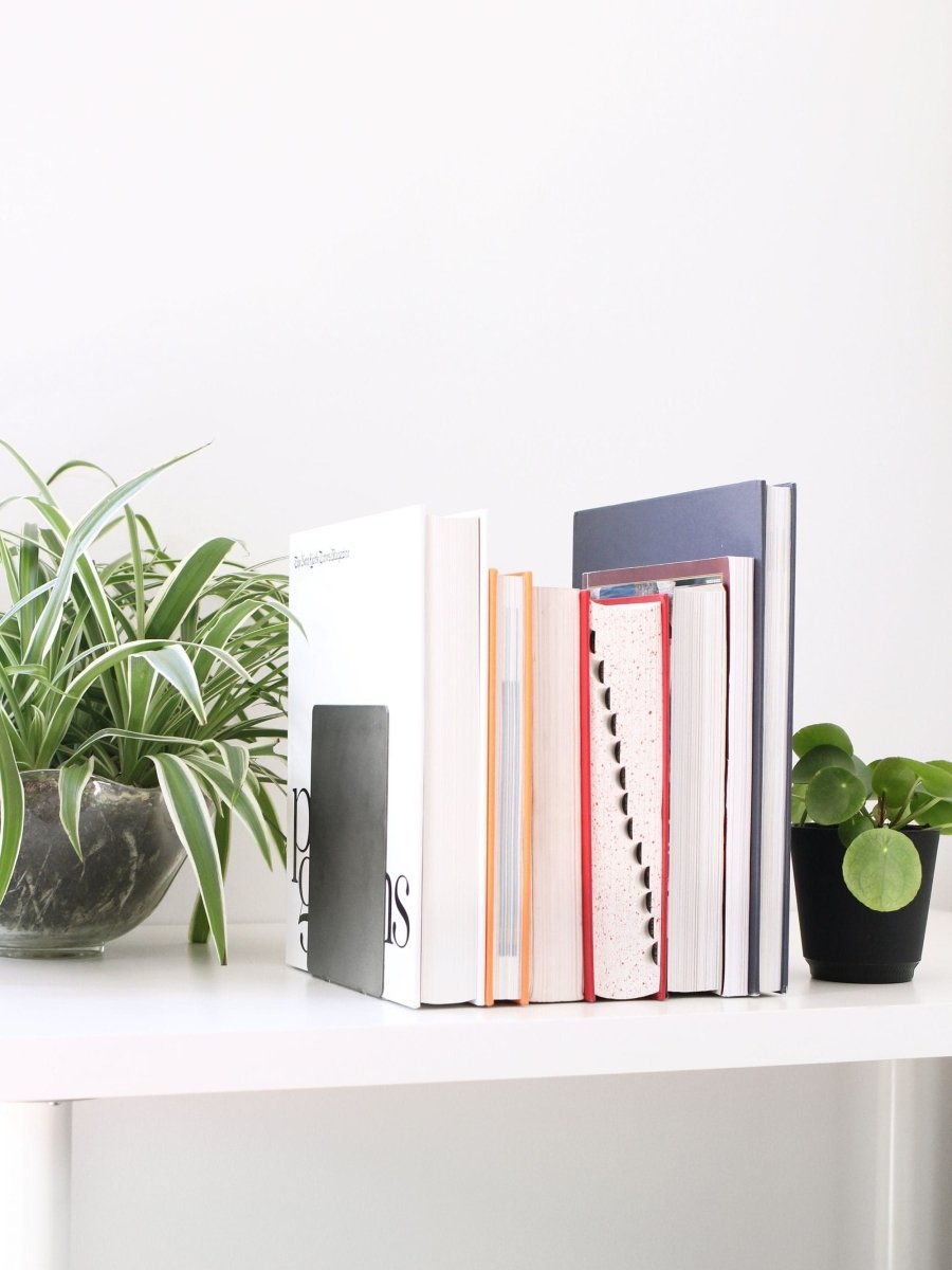 Stack of books on a white surface with plants on either side