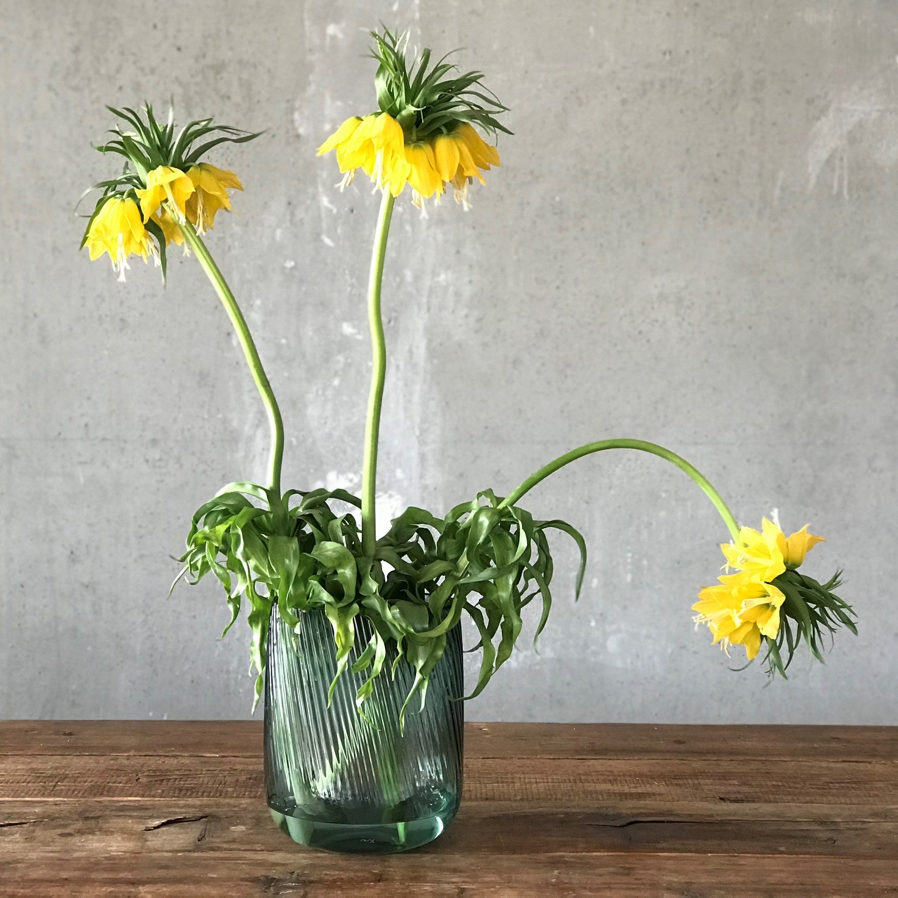 Yellow flowers in a green vase on a wooden surface with a gray background