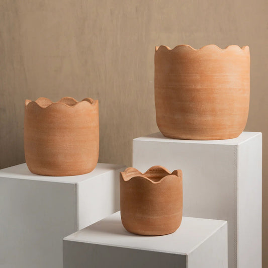 Three terracotta pots on white cubes against a beige wall