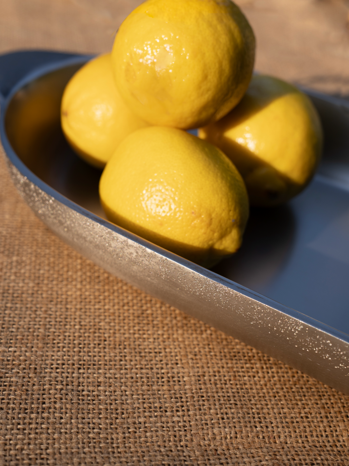 Stinson Nickel Long Trays - Set of 2